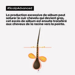 Shampooing Dermo-purifiant Anti Gras Scalp Advanced L'Oréal 1500ml -Capillaires Produits Boutique 3474637106416 4 47452.1684847766