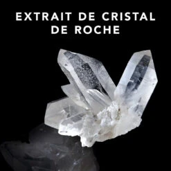 Trilliance Shampoo Sebastian 1000ml 3 Trilliance Shampoo Sebastian 1000ml -Capillaires Produits Boutique 51122 3 95792.1688997869