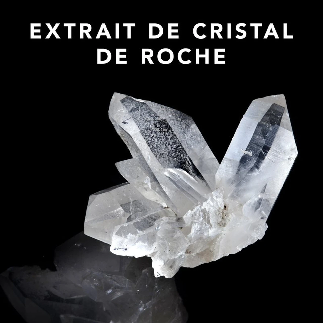 Trilliance Shampoo Sebastian 1000ml Trilliance Shampoo Sebastian 1000ml -Capillaires Produits Boutique 51122 3 95792.1688997869