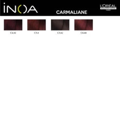 Coloration Inoa Carmilane L'Oréal Professionnel -Capillaires Produits Boutique Nuancier INOA CARMILANE 77311.1684853896