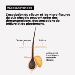 Shampooing Anti-Inconfort Scalp Advanced L'Oréal 1500ml -Capillaires Produits Boutique scalp adavanced antiinconfort 17500.1684847770