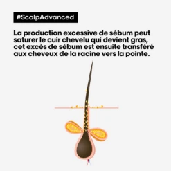 Argile 2-en-1 Purifiante Anti Gras Scalp Advanced L'Oréal 500ml 4 Argile 2-en-1 Purifiante Anti Gras Scalp Advanced L'Oréal 500ml -Capillaires Produits Boutique scalp advanced anti gras se bum 94024.1684847776