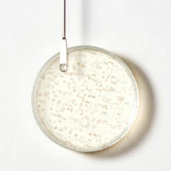 Shampooing Triphasic René Furterer 600ml -Capillaires Produits Boutique triphasic 78391.1691067752